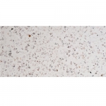 BẬC CẦU THANG TERRAZZO TS1-19M